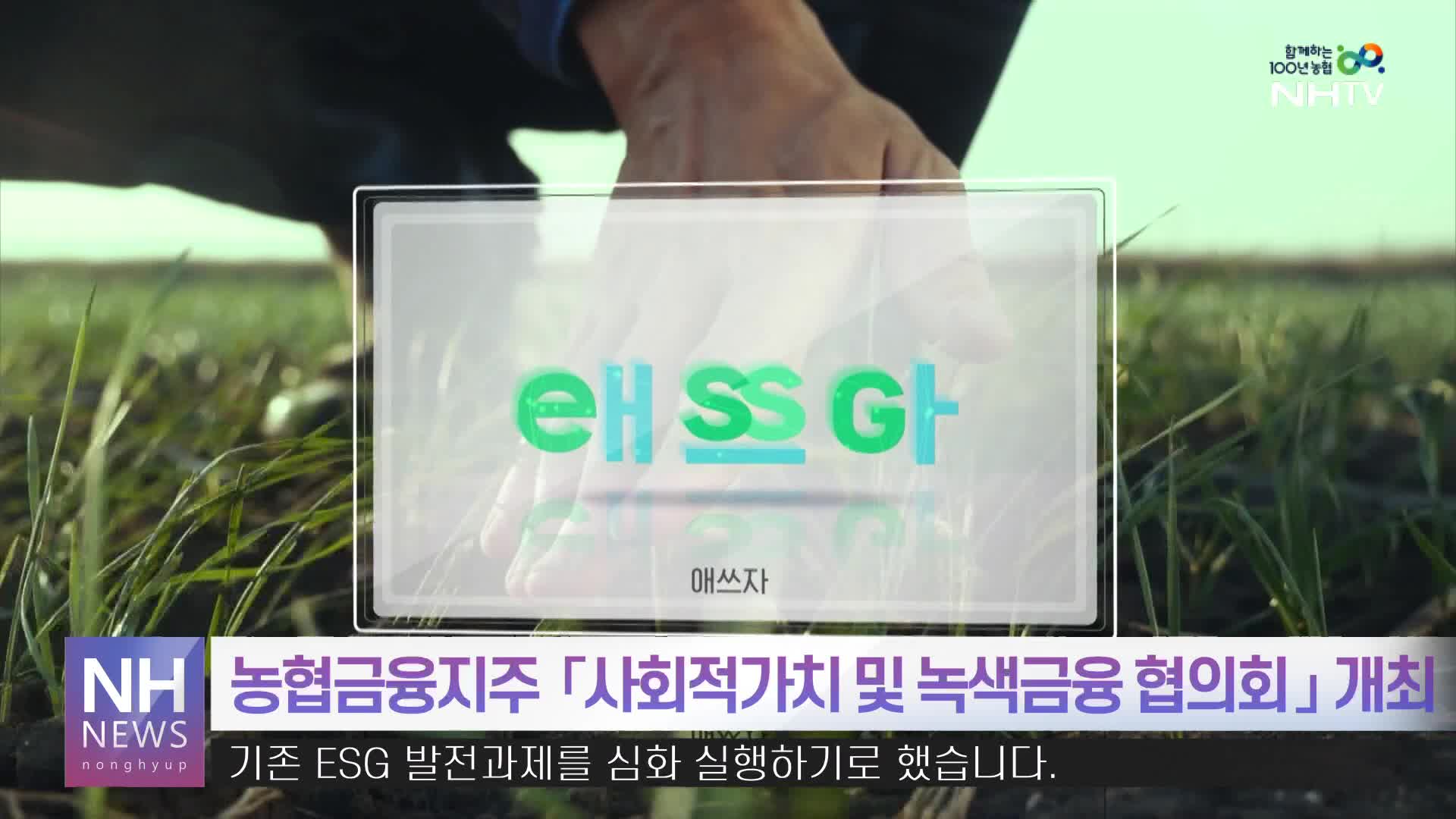 NH 뉴스 11월 13일