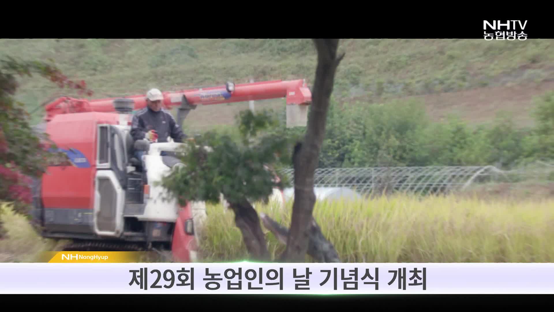 11월 우리가 한일