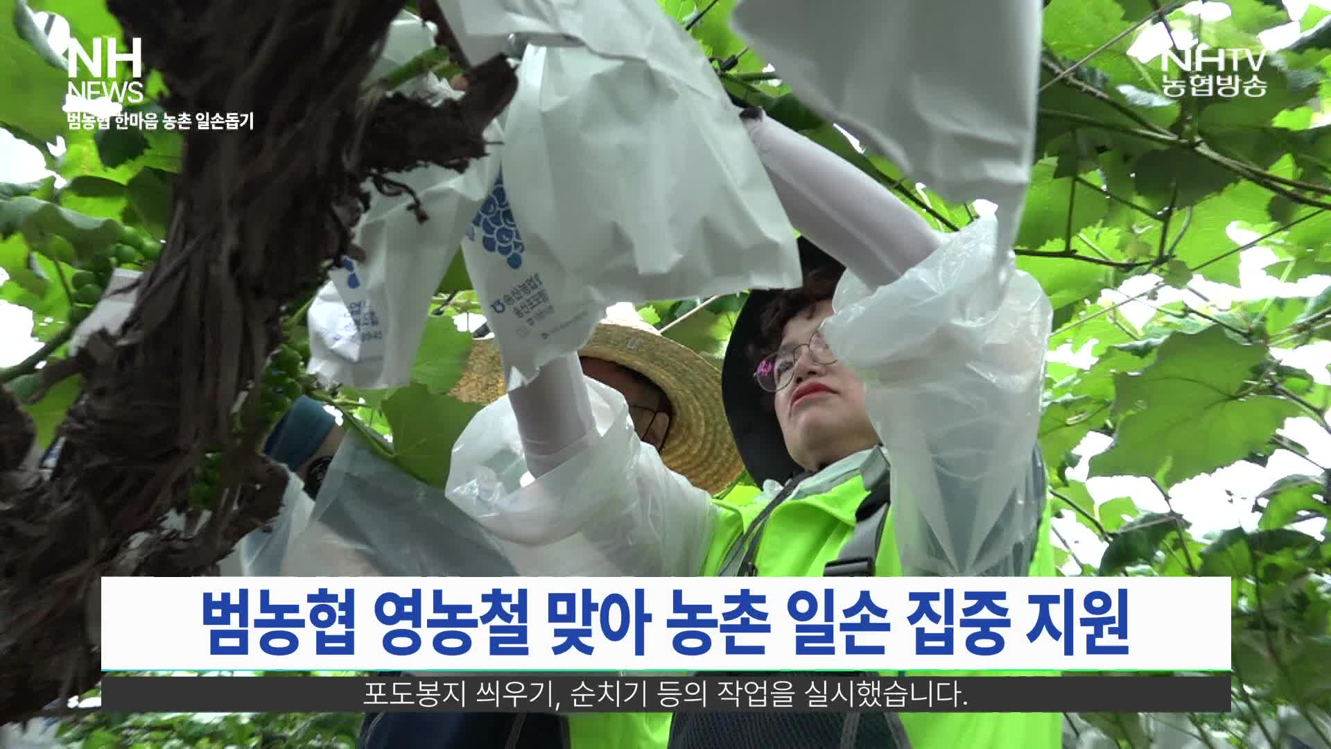 NH뉴스(6월 26일)