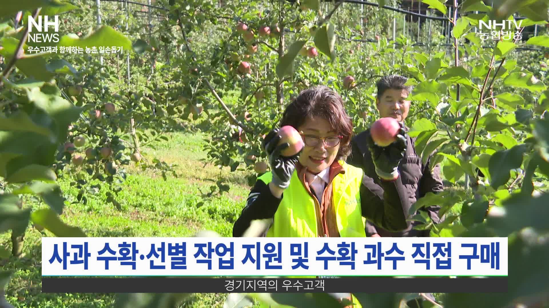 NH뉴스(10월 29일)