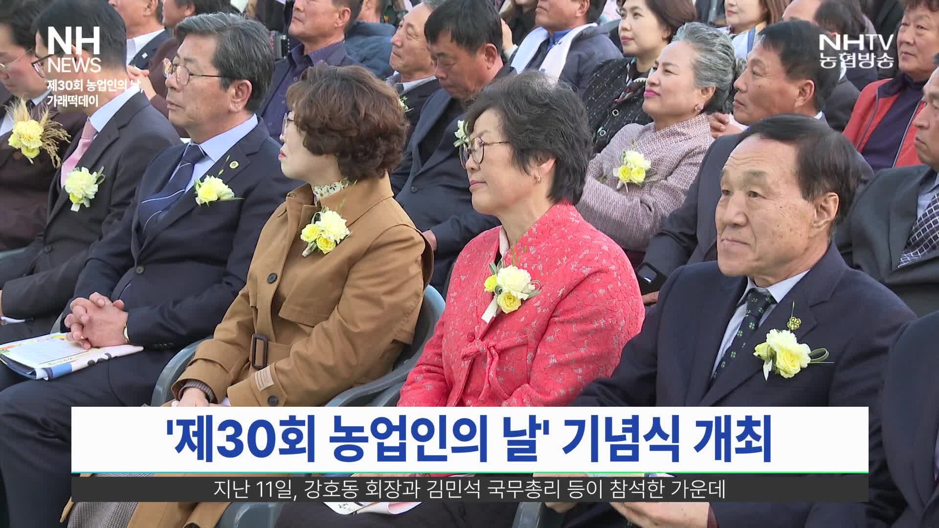 NH뉴스(11월 19일)